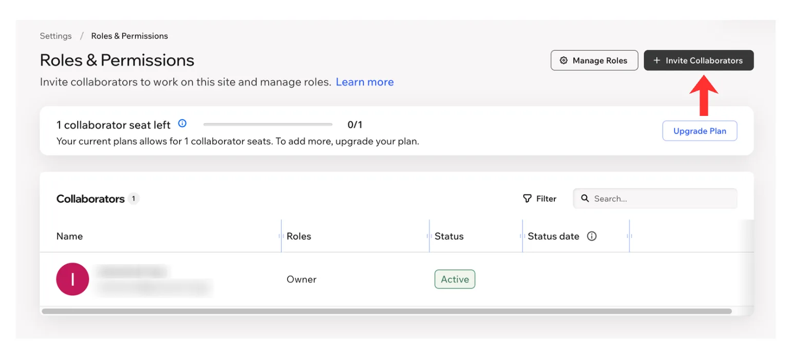 The Roles & Permissions page listing the current owner, with the Invite Collaborators button highlighted at the top right. The owner's details are blurred.