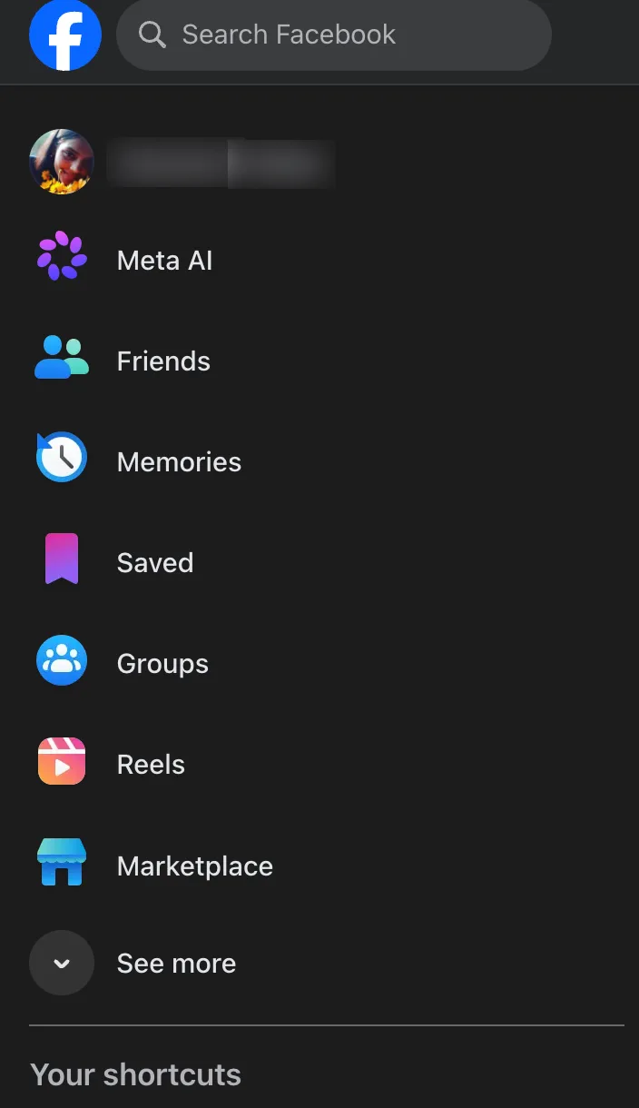The Facebook left menu with the profile at the top and a See more item at the bottom.